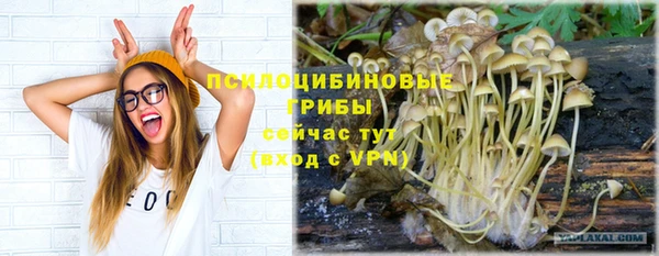 СК Алзамай