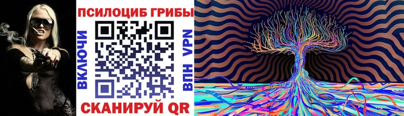 как найти закладки  Артёмовский  Галлюциногенные грибы Magic Shrooms 